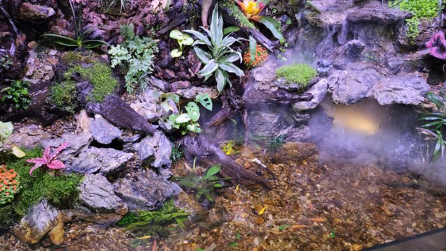 אקווריומים מים מתוקים