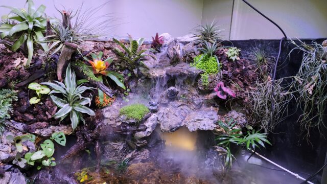 אקווריומים מים מתוקים