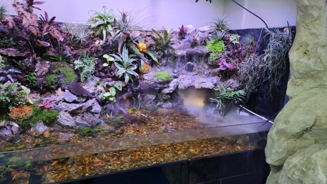 אקווריומים מים מתוקים