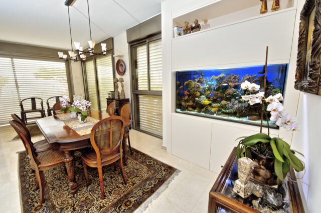 אקווריום מים מלוחים ריף אלמוגים