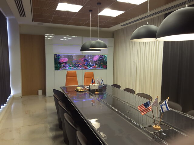 אקווריום מים מתוקים דגים טורפים