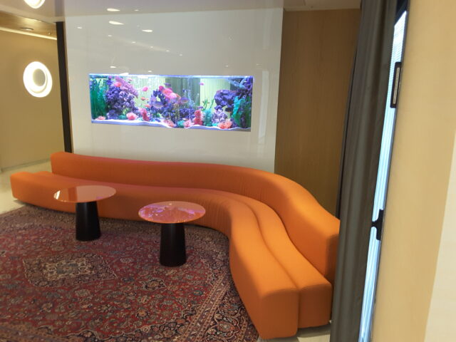 אקווריום מים מתוקים דגים טורפים