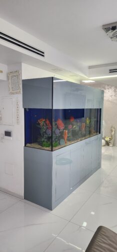 אקווריום מים מתוקים ריף אלמוגים