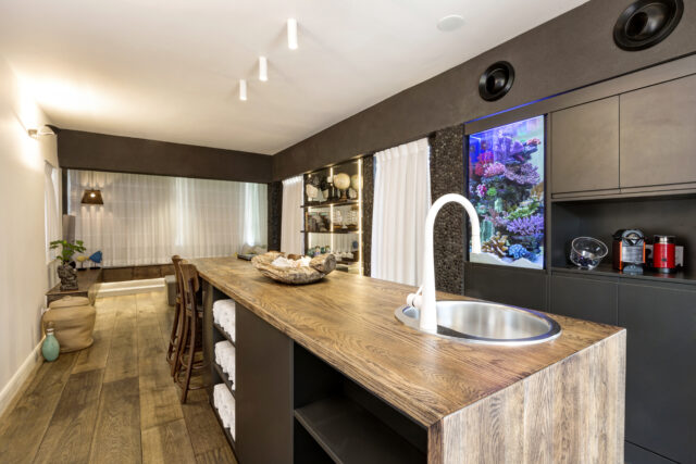 אקווריום מים מתוקים דגים טורפים