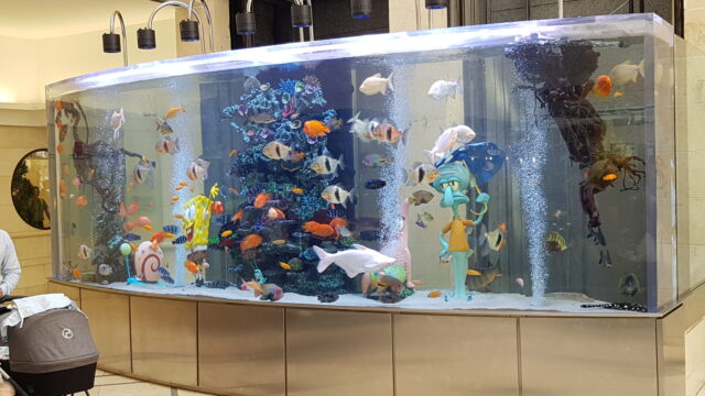 אקווריום בית חולים שניידר