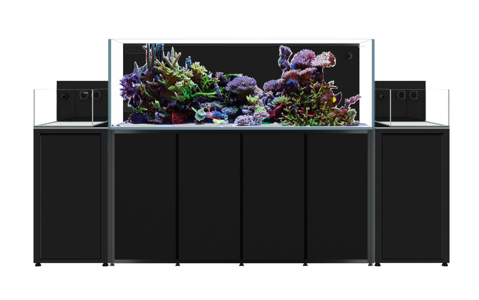 661b556e08721199442aa73b Reef X Hero 1 Cade Reef X 560/N