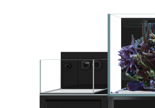 Cade Reef X 4 Cade Reef X 560/N