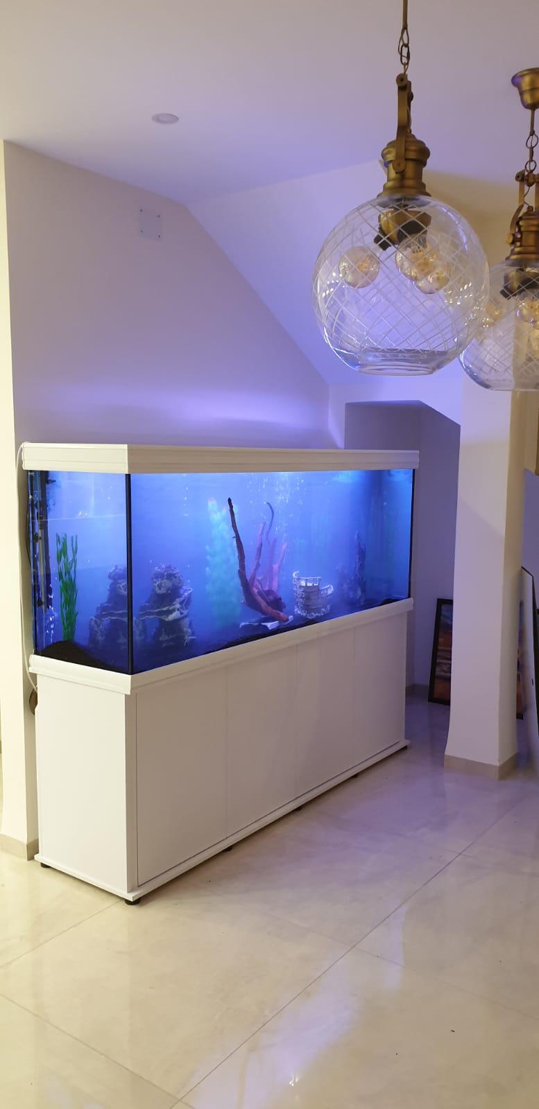 אקווריום פורמולה H2O במידות 60 ס"מ עד 300 ס"מ