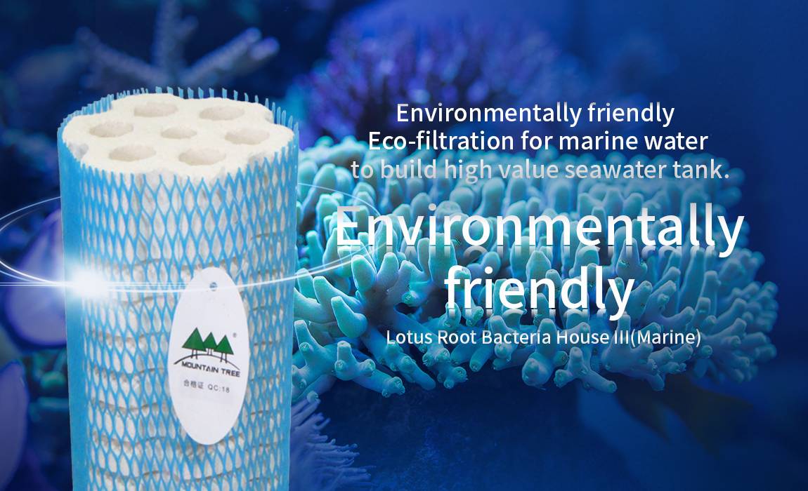 Mountain Tree Lotus Root Bacteria House III Small