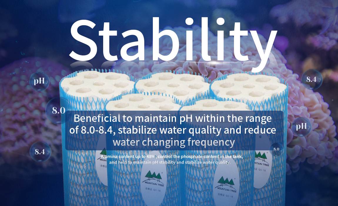 Mountain Tree Lotus Root Bacteria House III Small