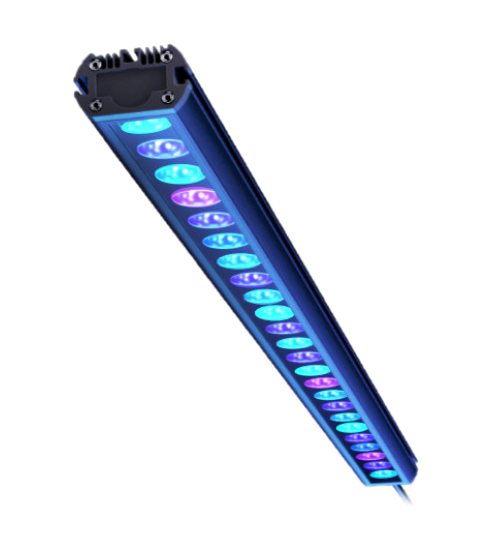 546546546654654 Reef Factory Reef flare Bar 90