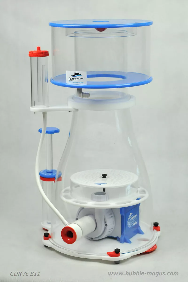 CURVE B11 Bubble Magus CURVE B11 פורק חלבונים