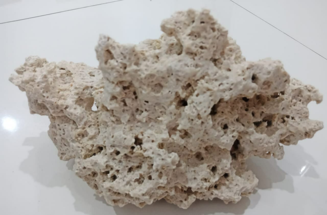 IMG 20201122 WA0012 The Reef Rock 20 Kg