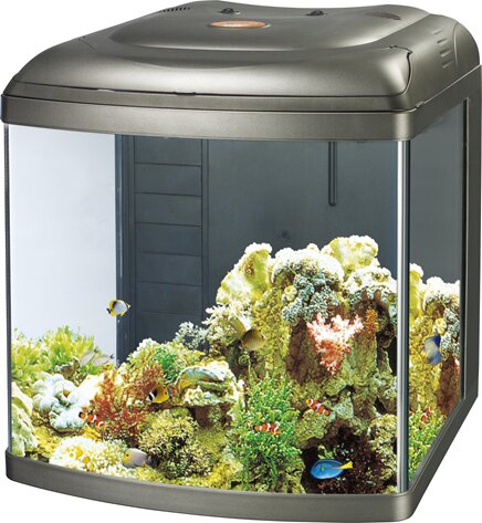 M500 אקווריום נאנו למלוחים