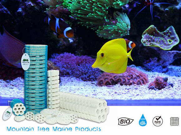 Mountain Tree Lotus Root Bacteria House III Small