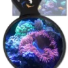 NEW DeepSee 600x900 Medium Flipper DeepSee Nano Magnified Magnetic Aquarium Viewer 7.6cm