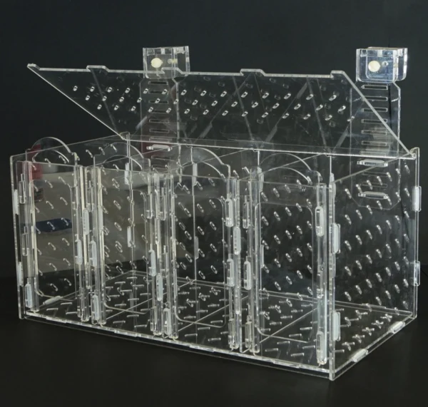 Bubble Magus RF400 מיכל אקלום