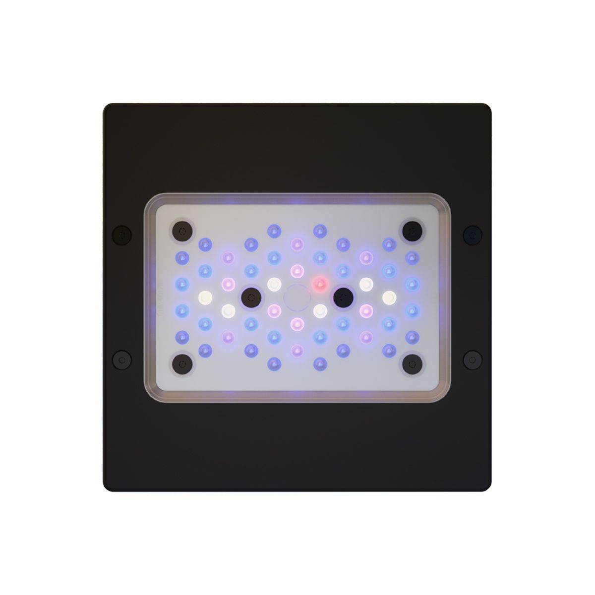 Eco Tech Marine Radion XR15G6BLUE LED Light