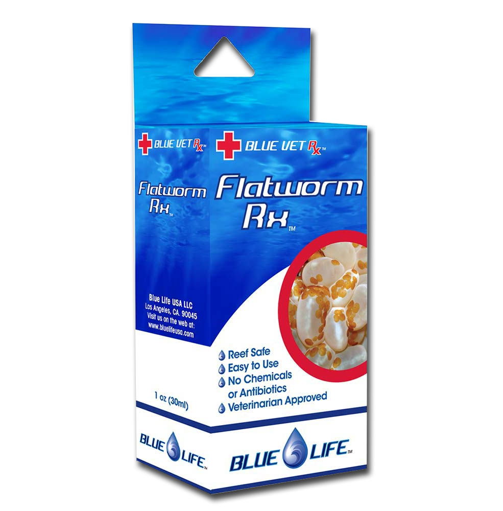Flatwormrx Box Blue Life Flatworm Rx