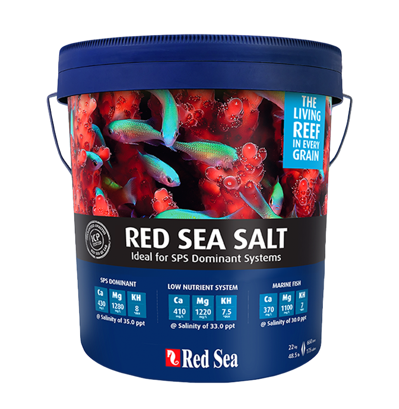 מלח רד סי כחול 22 ק"ג