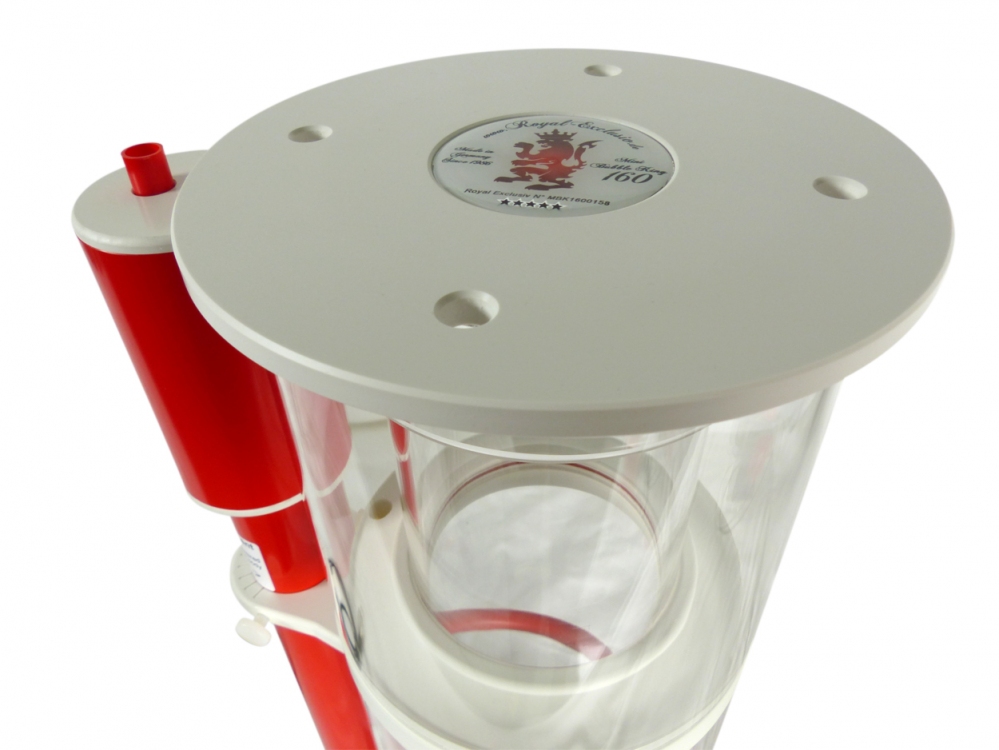 Royal Exclusive Bubble King Mini 160 With Red Dragon X DC 12/24V