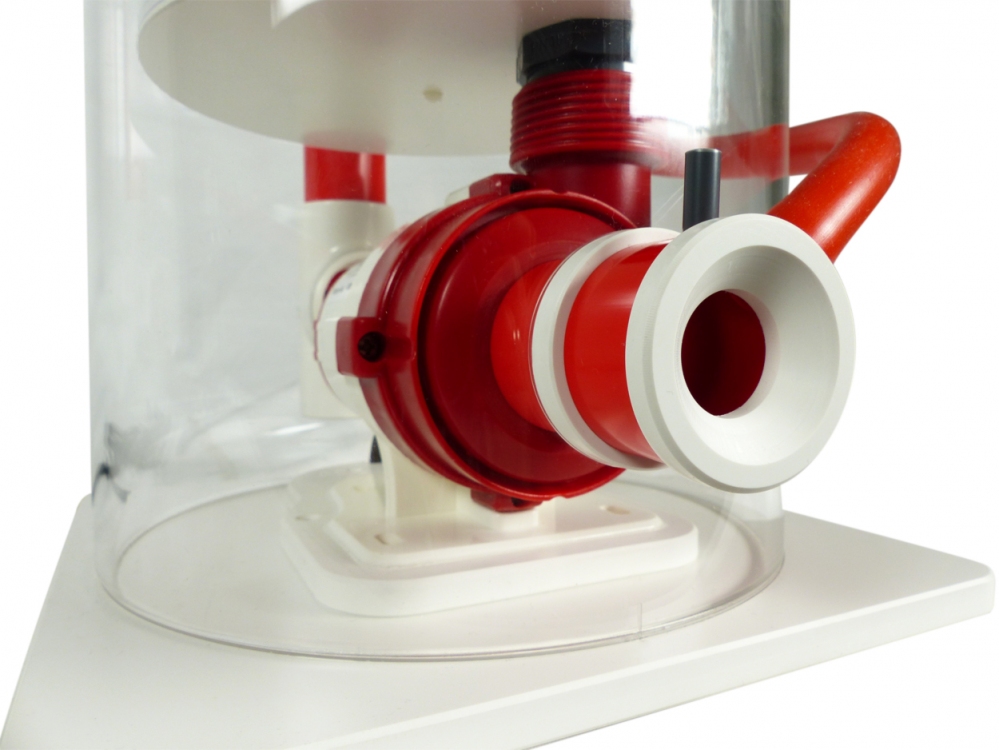 Royal Exclusive Bubble King Mini Speedy 200 + RDX DC 24V