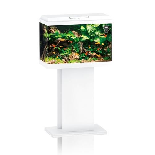 Juwel Primo 60 Cabinet ארונית