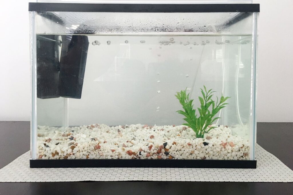 איך לבחור פילטר חיצוני לאקווריום - כל מה שצריך לדעת איך לבחור פילטר חיצוני לאקווריום – כל מה שצריך לדעת